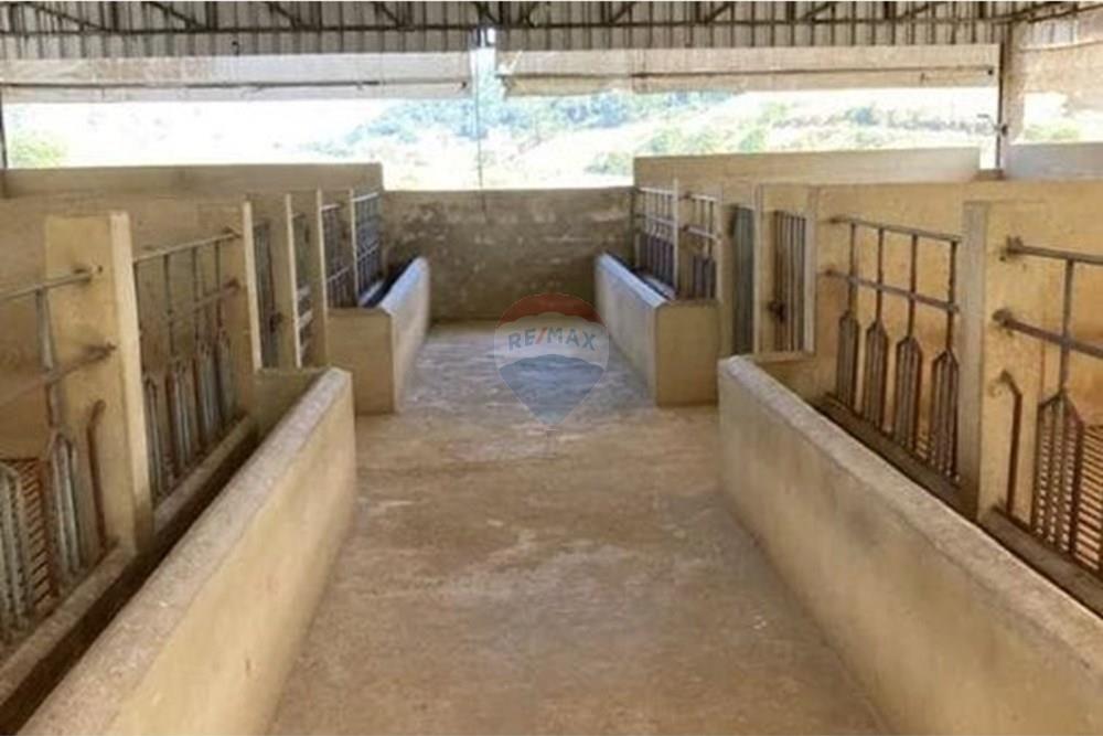 Chácara / Sítio / Fazenda - Venda - Vassouras , Rio de Janeiro - 38.jpeg - 860501034-32