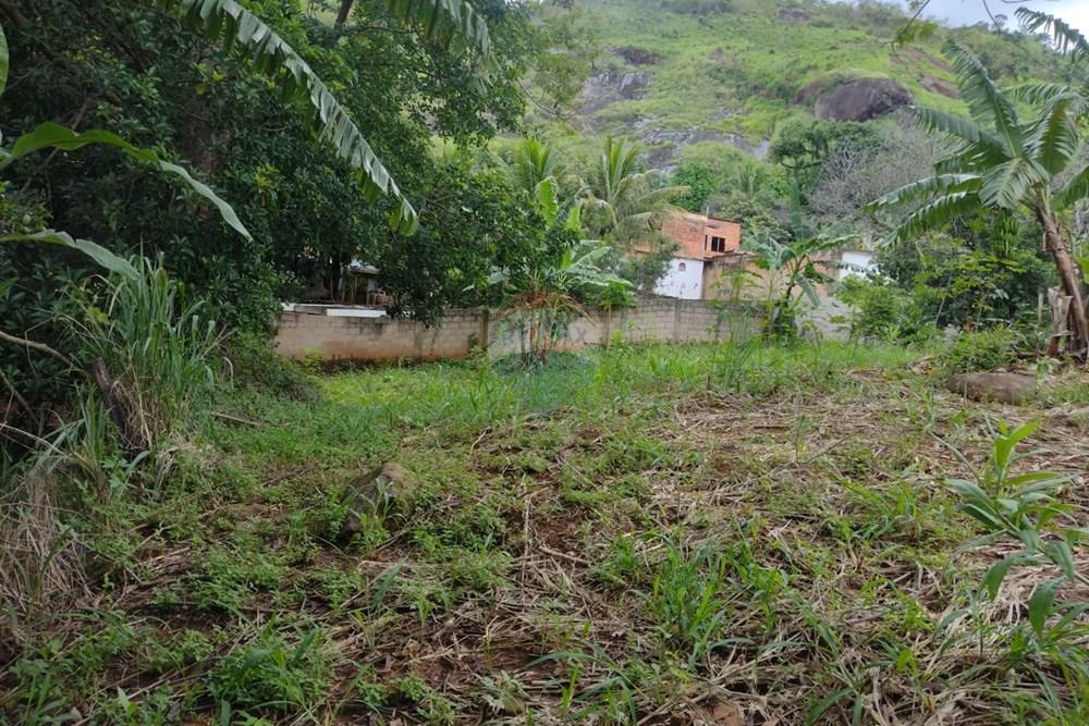 Terreno - Venda - Carangola , Minas Gerais - 1000099426.jpg - 860501015-91