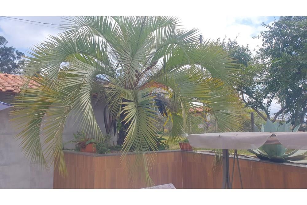 Chácara / Sítio / Fazenda - Venda - Barbacena , Minas Gerais - WhatsApp Image 2025-11-17 at 14.43.27.jpeg - 860391028-24