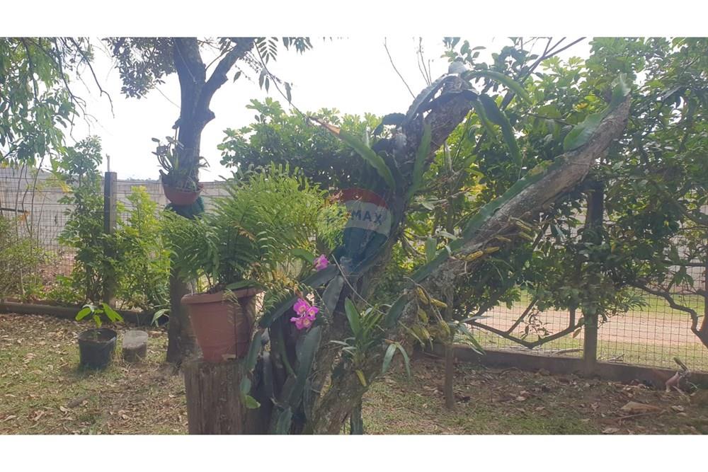 Chácara / Sítio / Fazenda - Venda - Barbacena , Minas Gerais - WhatsApp Image 2025-11-17 at 14.43.28 (21).jpeg - 860391028-24