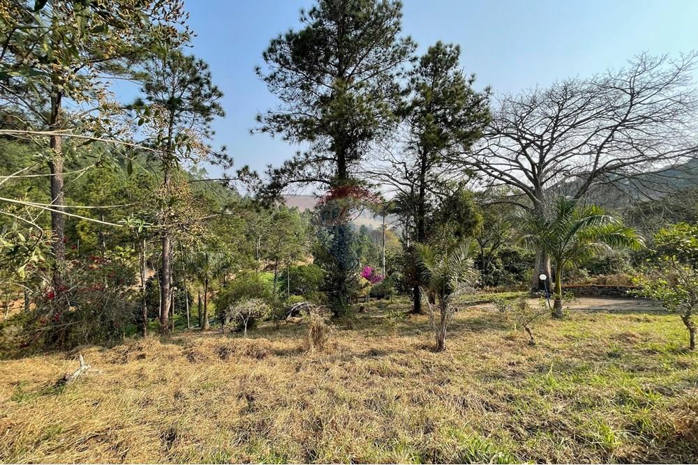 Chácara / Sítio / Fazenda - Venda - Juiz de Fora , Minas Gerais - WhatsApp Image 2024-09-05 at 10.07.55.jpeg - 860281091-75