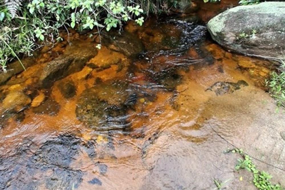 Chácara / Sítio / Fazenda - Venda - Rio Preto , Minas Gerais - WhatsApp Image 2026-01-09 at 12.48.39 (1).jpeg - 860281098-67