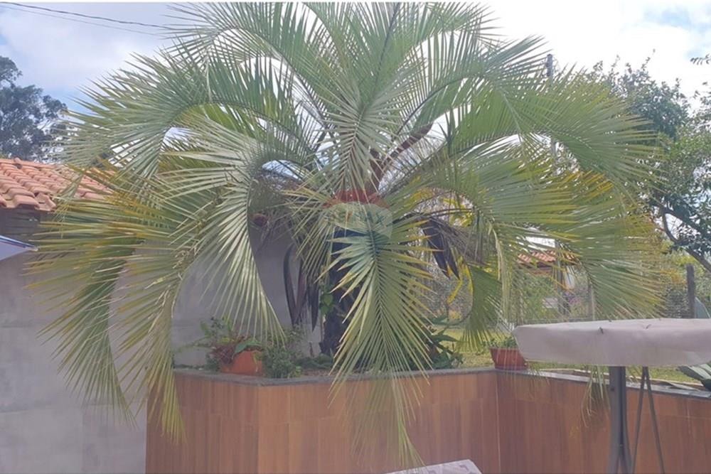 Chácara / Sítio / Fazenda - Venda - Barbacena , Minas Gerais - WhatsApp Image 2025-11-17 at 14.43.27.jpeg - 860391028-24