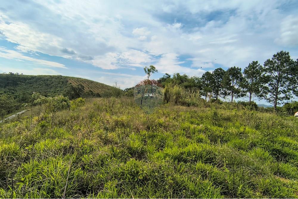 Terreno - Venda - Barbacena , Minas Gerais - IMG_20251029_144614021_HDR.jpg - 860391007-46