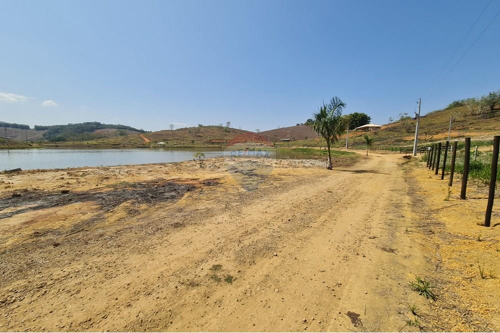 Chácara / Sítio / Fazenda - Venda - Patrocínio do Muriaé , Minas Gerais - 1000322292.jpg - 860371002-115