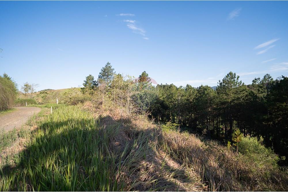 Terreno - Venda - Matias Barbosa , Minas Gerais - michaelseed.photo_SEMANA 2 11-379.jpg - 860361050-63