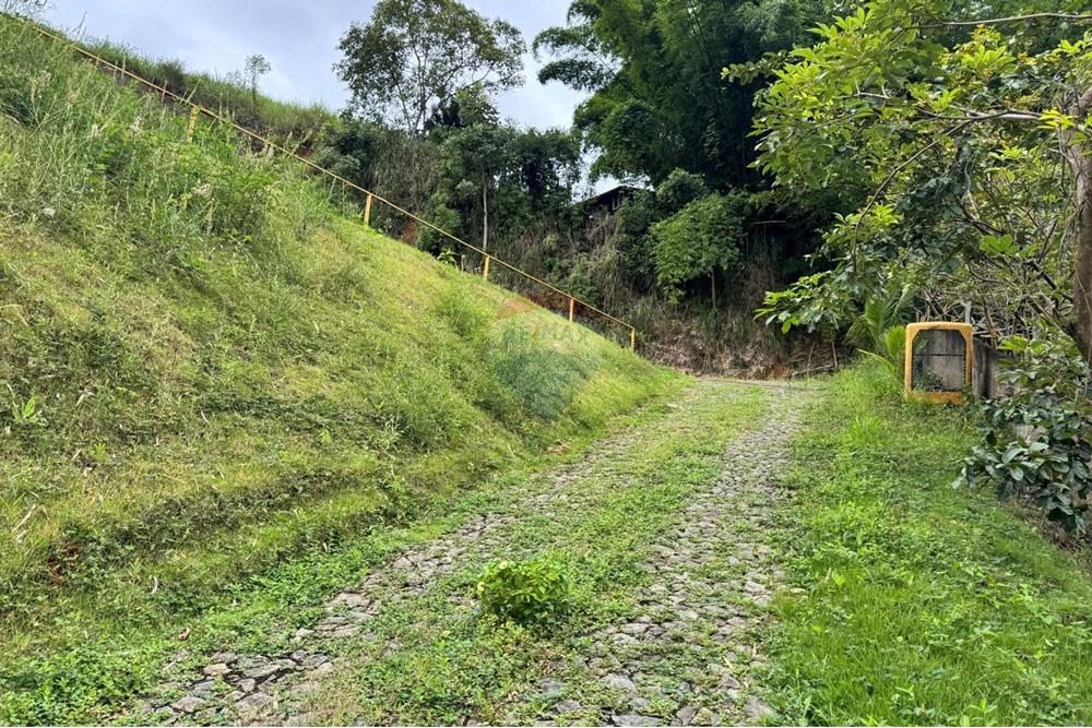 Komercinis NT - Business - Matias Barbosa , Minas Gerais - BR - IMG_7982.JPEG - 860301001-626