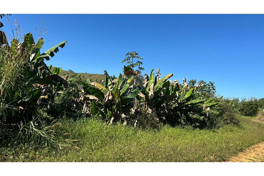 Terreno - Venda - Piau , Minas Gerais - 7594ff45-e779-41be-852b-0fdf0fb40457.jpg - 860211053-60