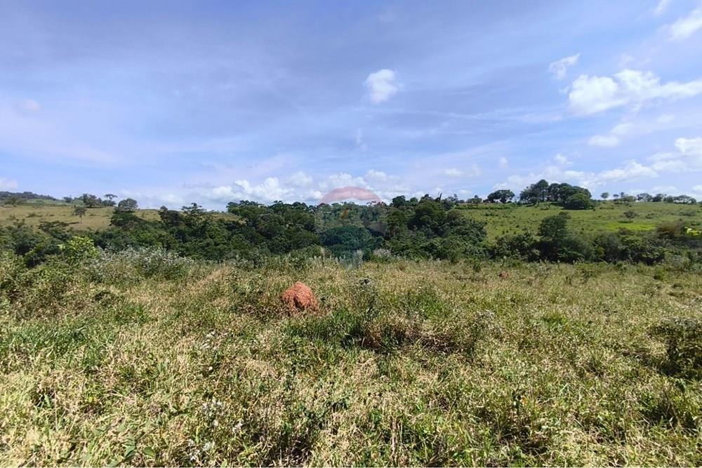 Chácara / Sítio / Fazenda - Venda - Lavras , Minas Gerais - WhatsApp Image 2026-04-08 at 17.33.33.jpeg - 860471037-28