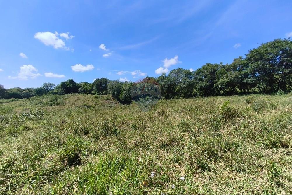 Chácara / Sítio / Fazenda - Venda - Lavras , Minas Gerais - WhatsApp Image 2026-04-08 at 17.33.33 (1).jpeg - 860471037-28