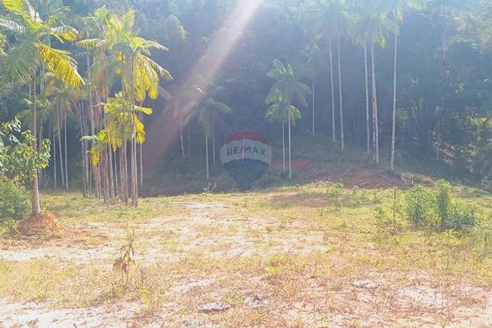 Chácara / Sítio / Fazenda - Venda - Piau , Minas Gerais - WhatsApp Image 2025-06-27 at 19.34.24 (4).jpeg - 860281098-54