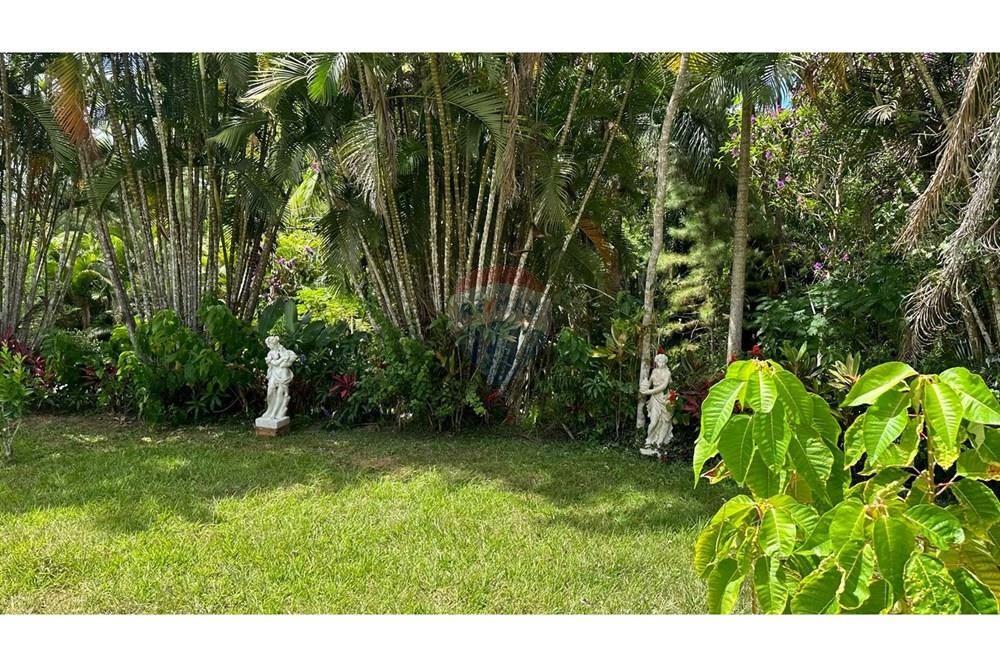 Chácara / Sítio / Fazenda - Venda - Matias Barbosa , Minas Gerais - 9f4e7305-82fc-4ccd-bc4d-c6722bfcc1db.JPG - 860291033-99