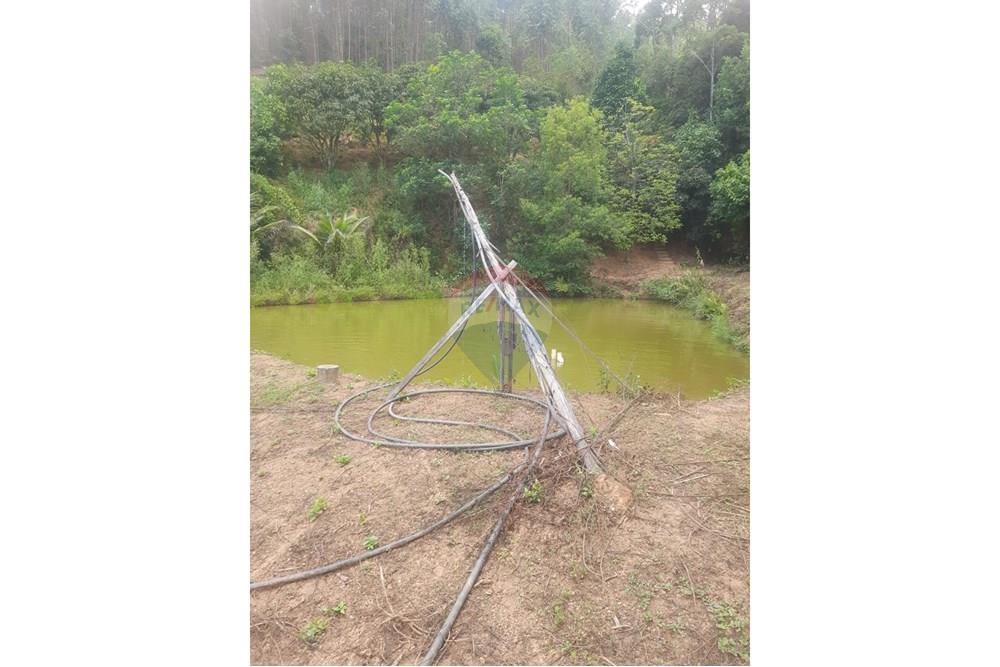 Chácara / Sítio / Fazenda - Venda - Ewbank da Câmara , Minas Gerais - WhatsApp Image 2025-04-09 at 00.41.43 (1).jpeg - 860381070-34