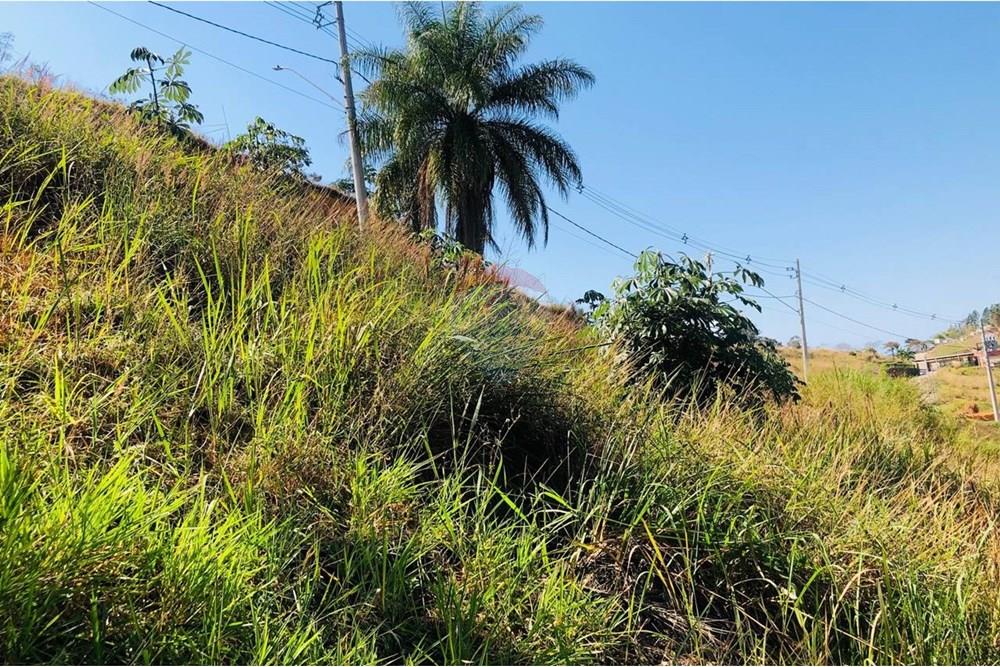 Terreno - Venda - Matias Barbosa , Minas Gerais - photo_5006023274320211427_y.jpg - 860321021-36