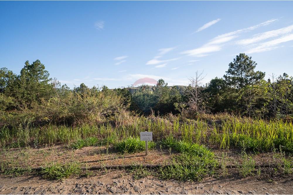 Terreno - Venda - Matias Barbosa , Minas Gerais - michaelseed.photo_SEMANA 2 11-382.jpg - 860361050-63