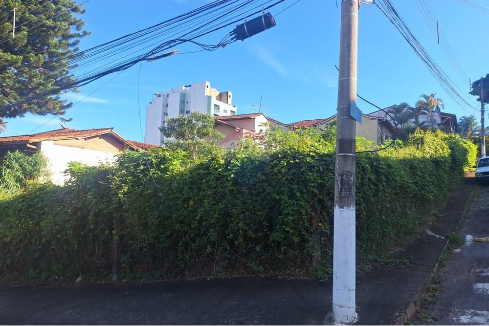Terreno - Venda - Conselheiro Lafaiete , Minas Gerais - ea02cff1-0cee-4b98-a878-a6fb0b0d3439.jpeg - 860421002-421