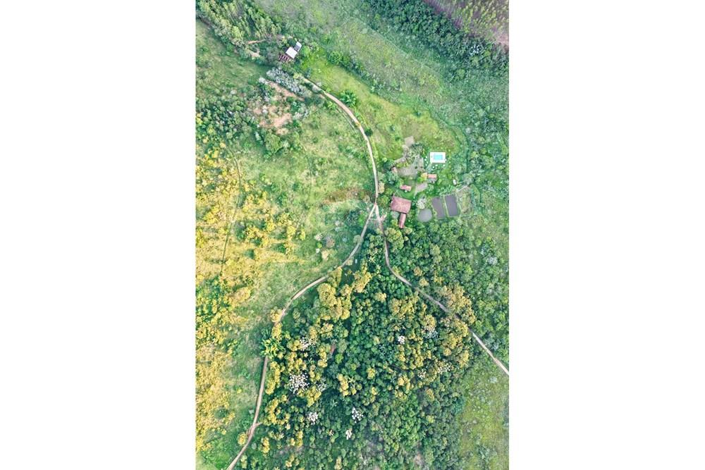 Hotel/ Pousada - Venda - Goianá , Minas Gerais - 07467a47-d7e8-4c30-8e64-d08e37aa6011.JPG - 860291033-140