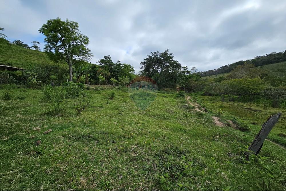 Terreno - Venda - Barão de Monte Alto , Minas Gerais - 20251207_080749.jpg - 860371002-205