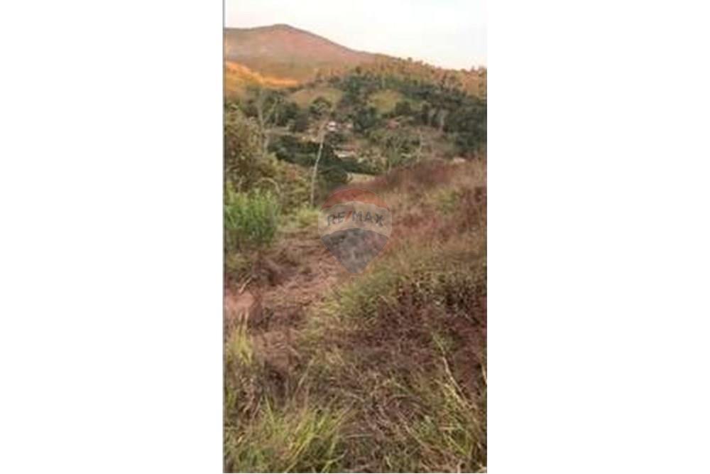 Chácara / Sítio / Fazenda - Venda - Matias Barbosa , Minas Gerais - L_3cbb12ff1d524f9a8e0f60182498399e.jpg - 860291033-113