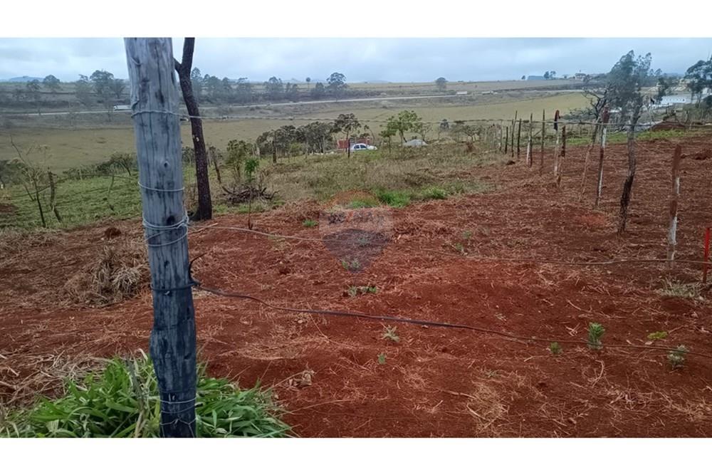 Terreno - Venda - Queluzito , Minas Gerais - TERRENO QUELUZITO.jpg - 860421030-39