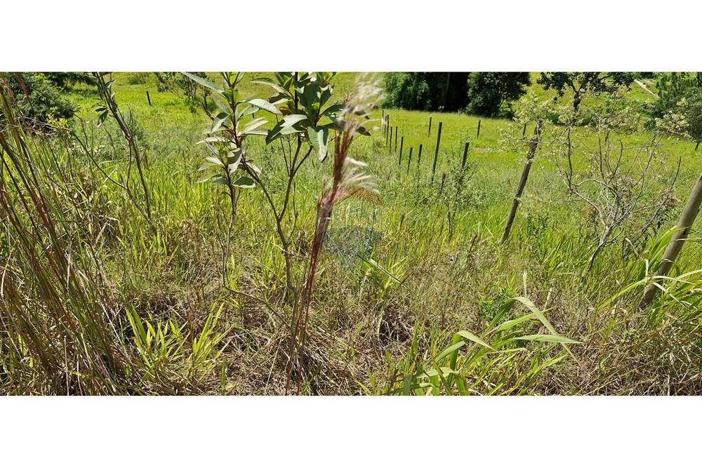 Terreno - Venda - Barbacena , Minas Gerais - 20250204_101605.jpg - 860391020-36