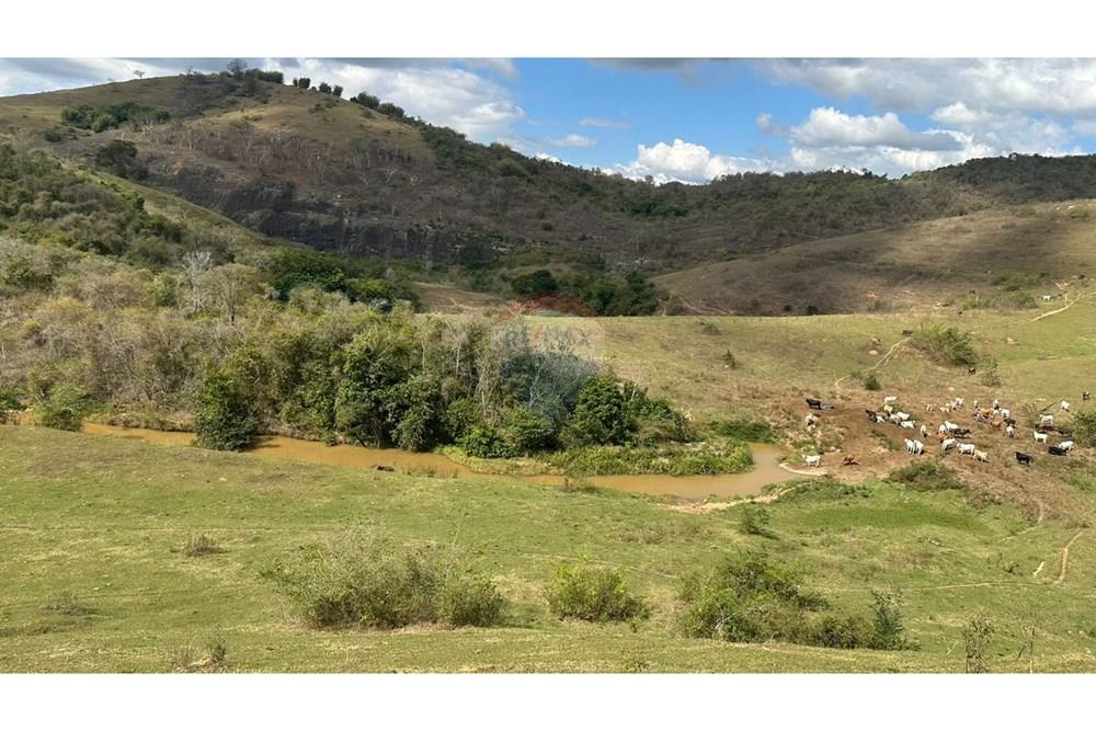 Chácara / Sítio / Fazenda - Venda - Cantagalo , Rio de Janeiro - 1e15d321-3a05-4f99-854a-8f1ea8519229.JPG - 860291041-3