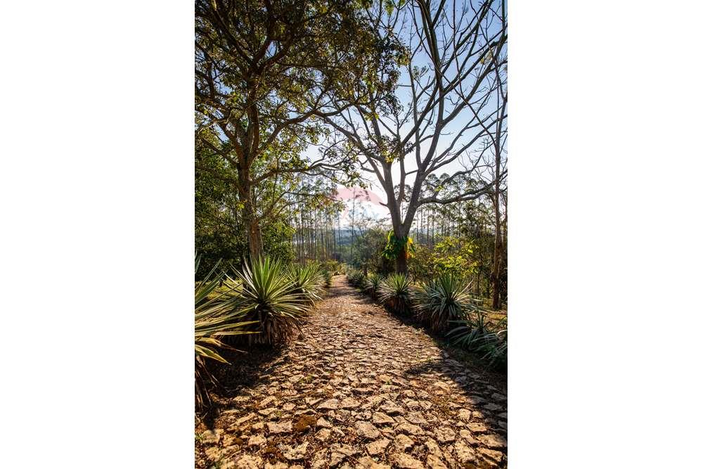 Chácara / Sítio / Fazenda - Venda - Juiz de Fora , Minas Gerais - Campana-14.jpg - 860211077-215