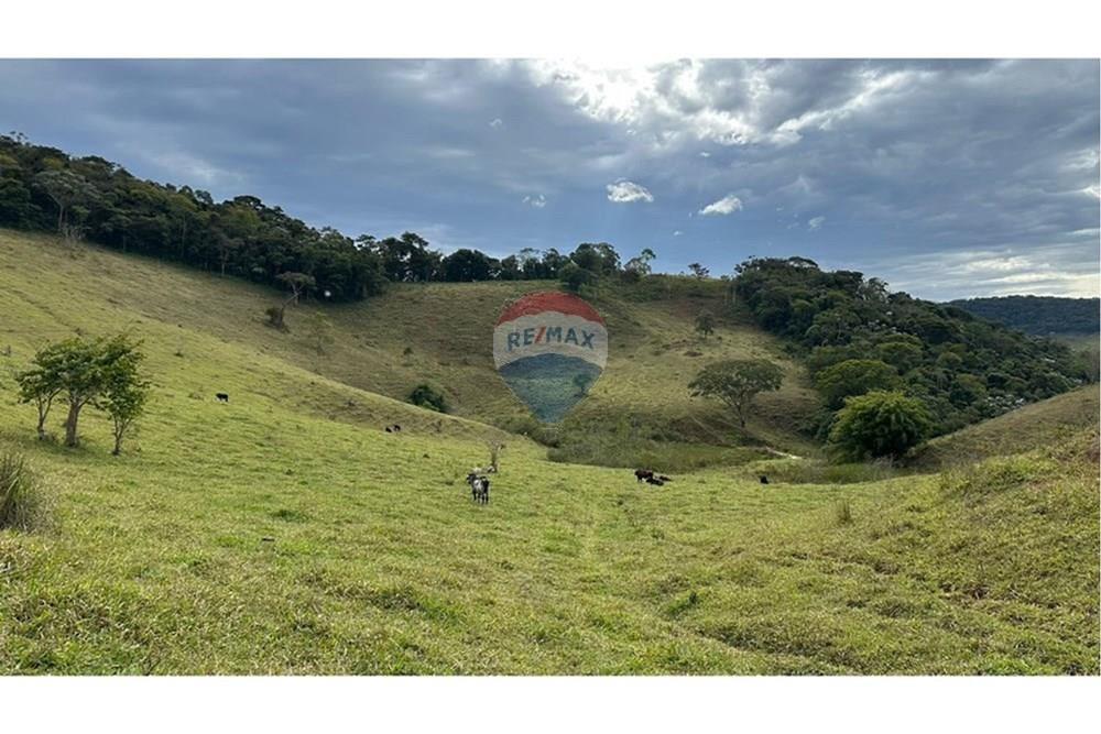 Chácara / Sítio / Fazenda - Venda - Lamim , Minas Gerais - L_9168f8b8-8dd2-4d53-b488-b4af8fcbf244.jpg - 860291033-108