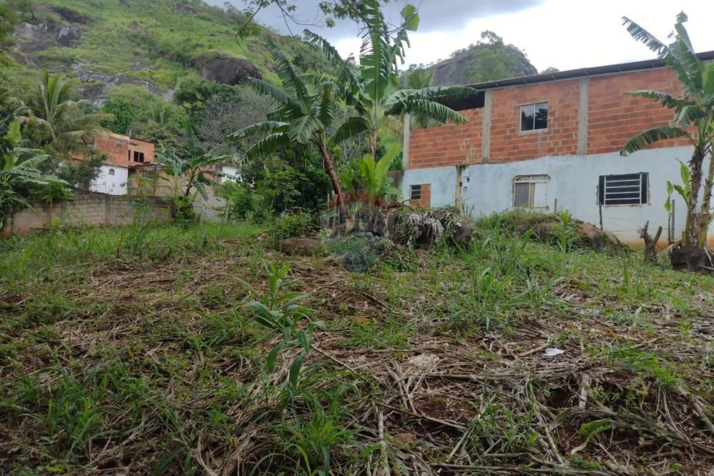 Terreno - Venda - Carangola , Minas Gerais - 1000099427.jpg - 860501015-91