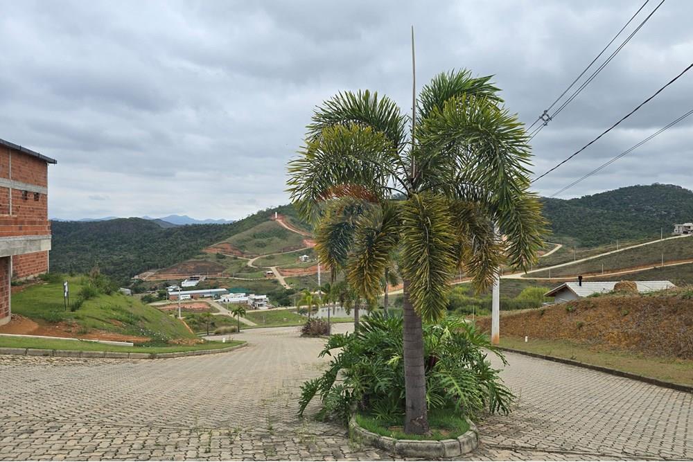 Terreno - Venda - Matias Barbosa , Minas Gerais - 4.jpg - 860381070-184