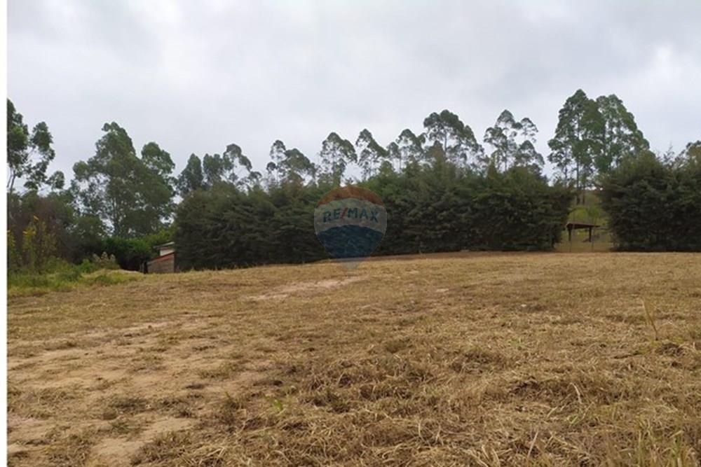 Жилищен - Поземлен имот - Barbacena , Minas Gerais - BR - WhatsApp Image 2025-07-24 at 17.12.04(2).jpeg - 860391003-39