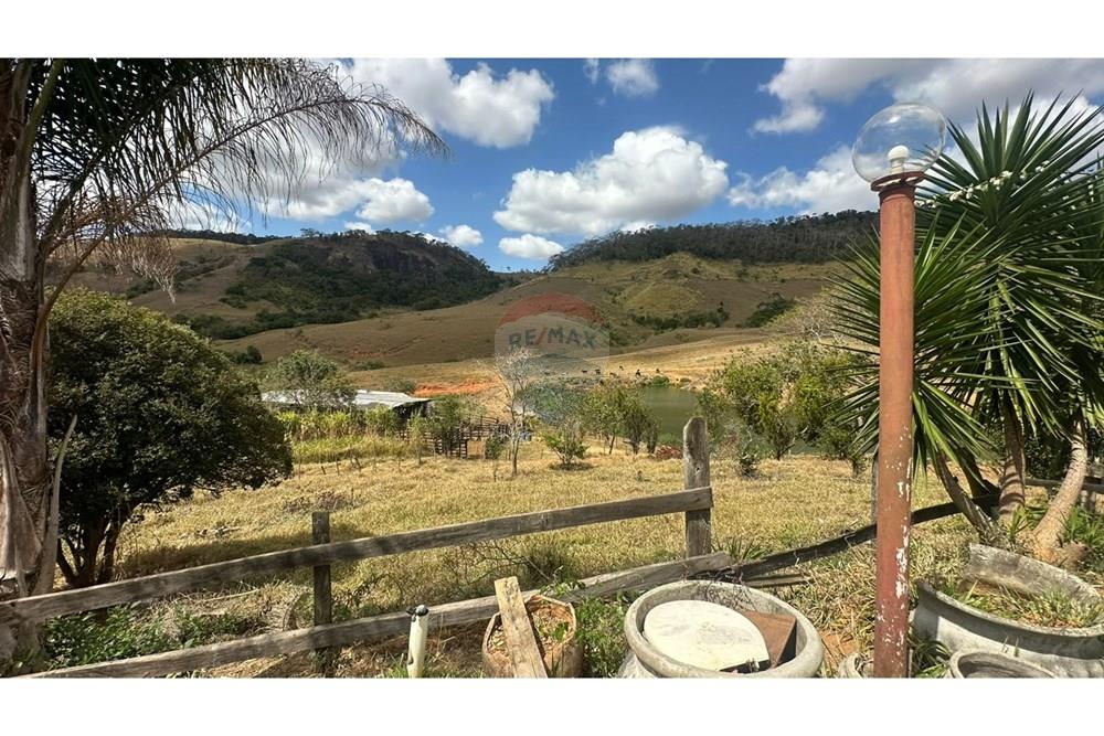 Chácara / Sítio / Fazenda - Venda - Leopoldina , Minas Gerais - WhatsApp Image 2025-09-22 at 10.32.42.jpeg - 860291033-118