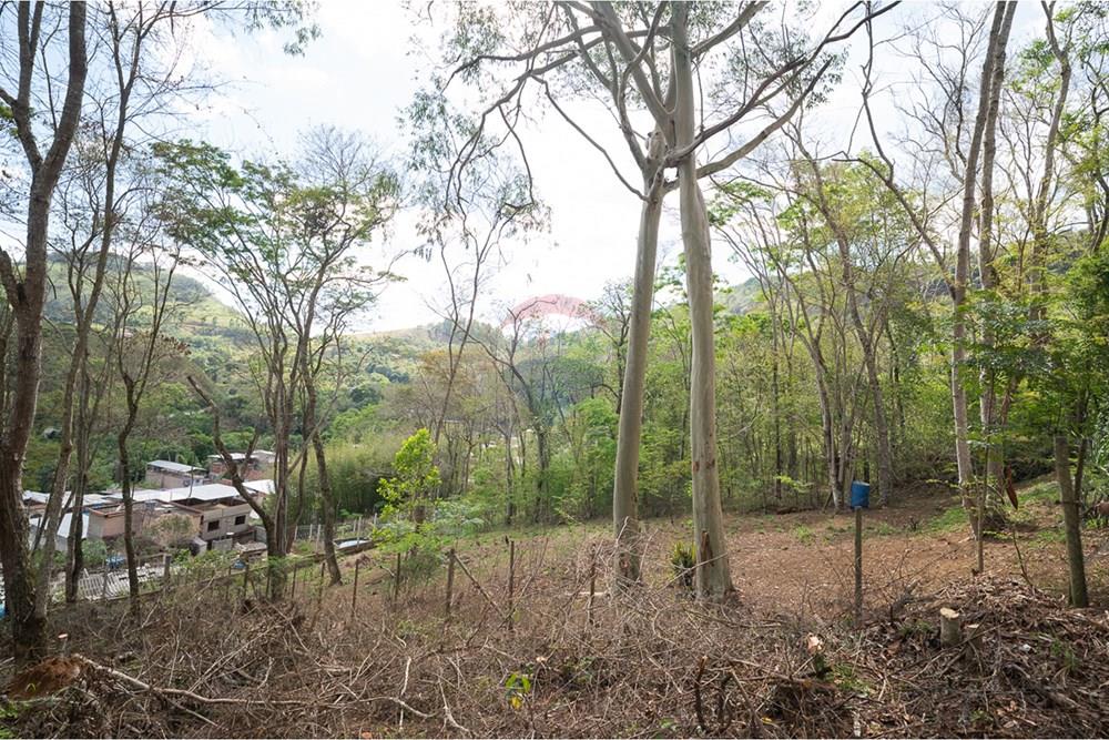 Terreno - Venda - Juiz de Fora , Minas Gerais - michaelseed photo_1103-6.jpg - 860211074-39
