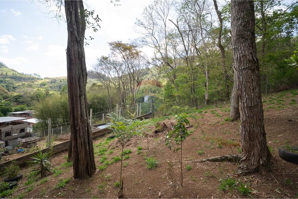 Terreno - Venda - Juiz de Fora , Minas Gerais - michaelseed photo_1103-17.jpg - 860211074-39