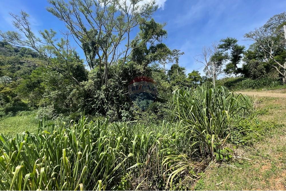 Terreno - Venda - Juiz de Fora , Minas Gerais - 20250204_171456325_iOS.jpg - 860281090-62