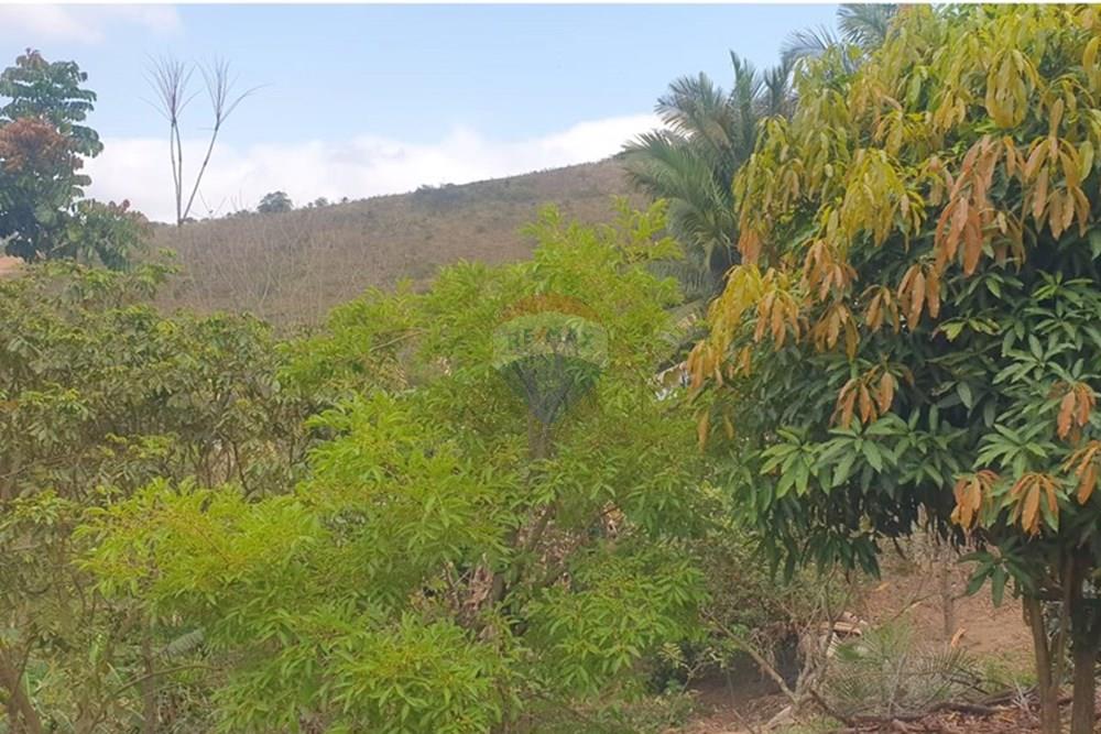 Chácara / Sítio / Fazenda - Venda - Barbacena , Minas Gerais - WhatsApp Image 2025-11-17 at 14.43.29 (5).jpeg - 860391028-24