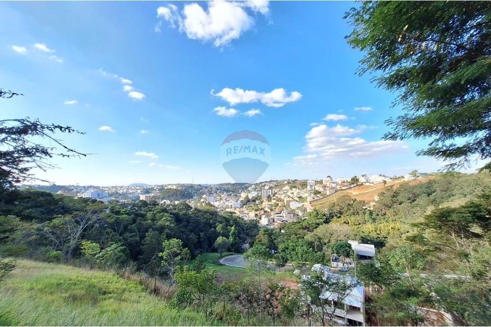 Terreno - Venda - Juiz de Fora , Minas Gerais - Vista Lote 3.jpeg - 860361010-454