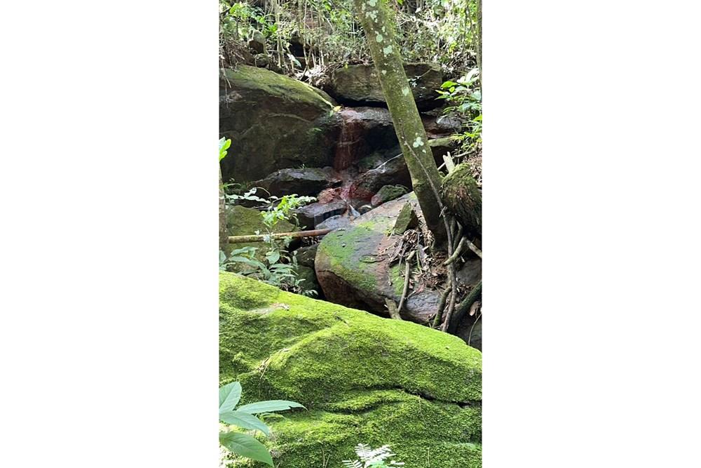 Casa - Alugar - Juiz de Fora , Minas Gerais - 7c6d8195-4d69-4328-af51-ef2d85a352f3.jpg - 860291033-143