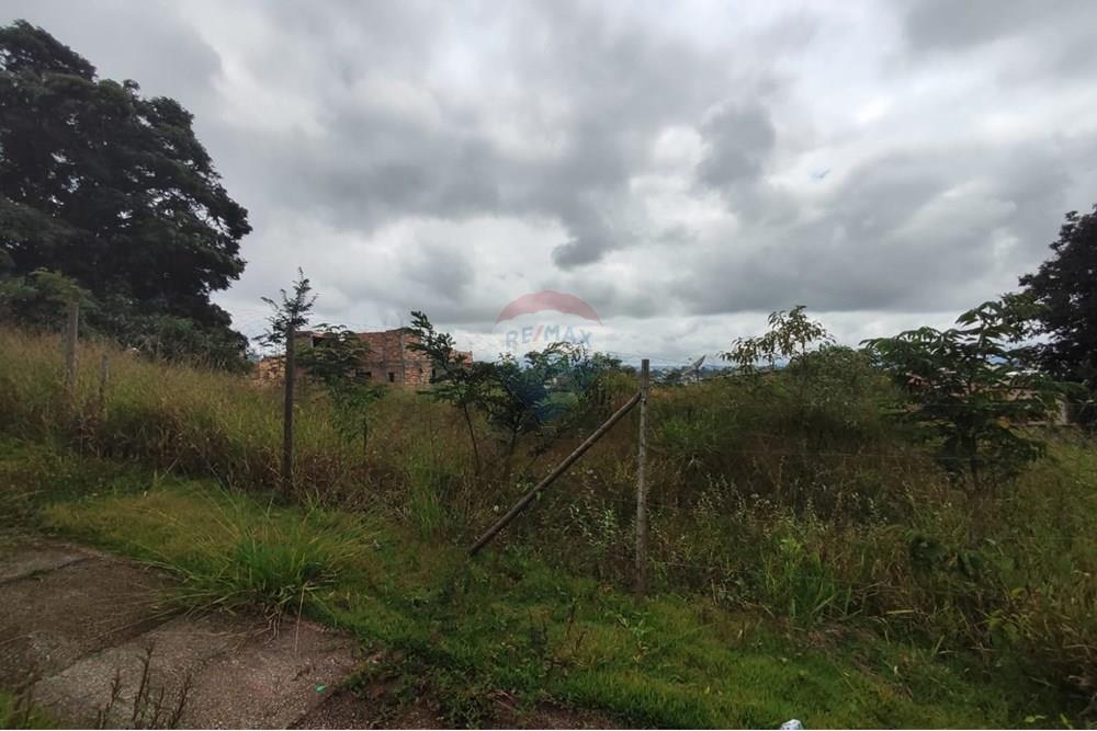Terreno - Venda - Conselheiro Lafaiete , Minas Gerais - WhatsApp Image 2025-03-24 at 14.15.13 (2).jpeg - 860421029-128