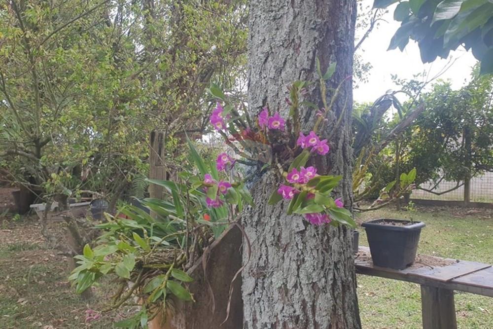 Chácara / Sítio / Fazenda - Venda - Barbacena , Minas Gerais - WhatsApp Image 2025-11-17 at 14.43.28 (24).jpeg - 860391028-24