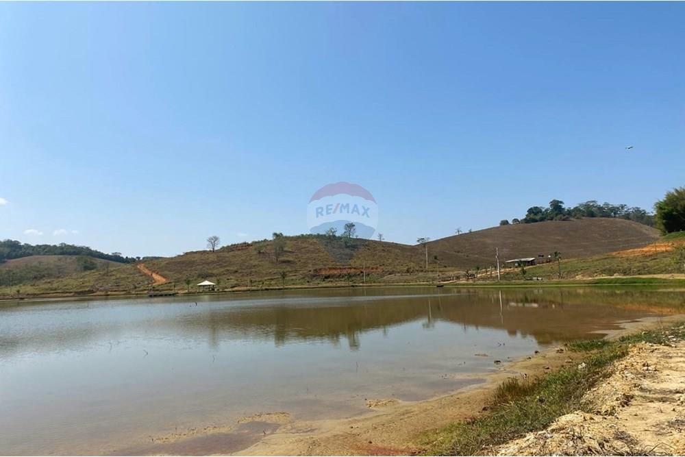 Chácara / Sítio / Fazenda - Venda - Patrocínio do Muriaé , Minas Gerais - 1000323678.jpg - 860371002-115