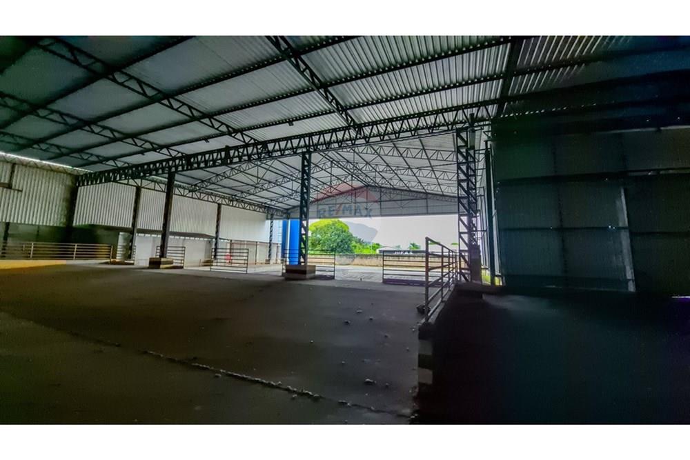 Galpão - Alugar - Juiz de Fora , Minas Gerais - 20260311_114449.jpg - 860301048-44
