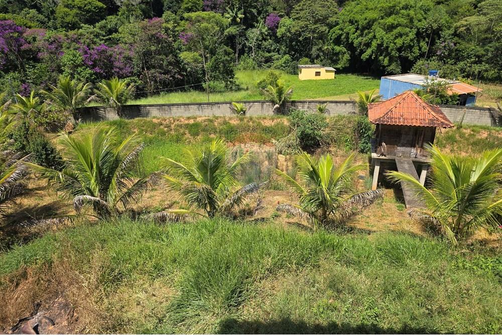 Chácara / Sítio / Fazenda - Venda - Ewbank da Câmara , Minas Gerais - 52.jpg - 860381070-34