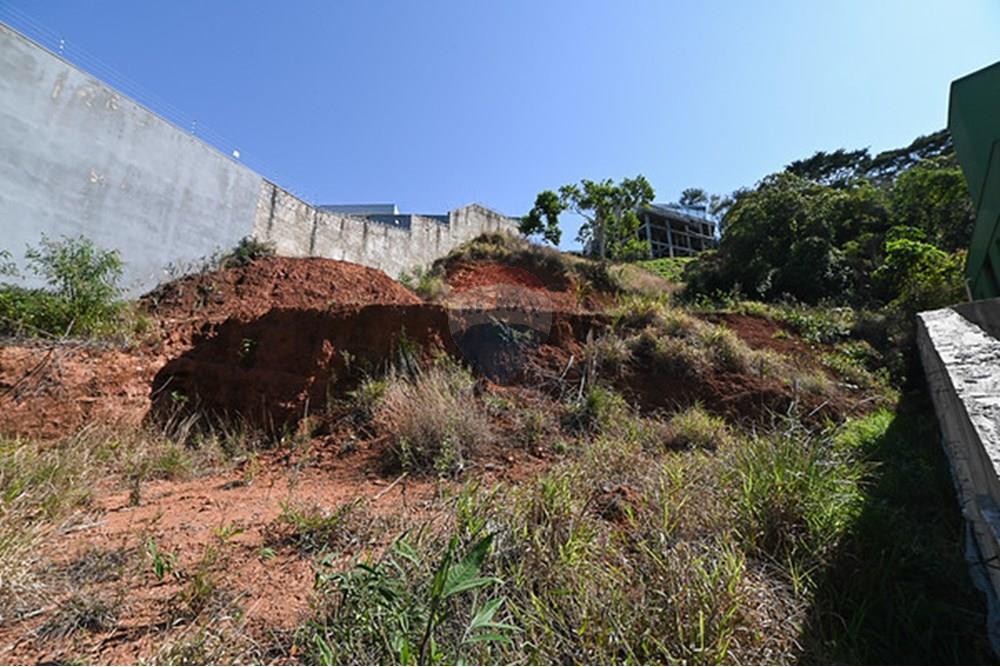 Terreno - Venda - Juiz de Fora , Minas Gerais - michaelseed.photo_09 10 11-45-M.jpg - 860211097-53