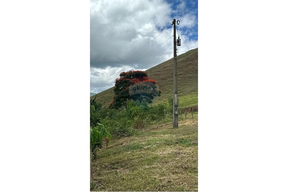 Chácara / Sítio / Fazenda - Venda - Lima Duarte , Minas Gerais - WhatsApp Image 2025-03-31 at 08.26.12.jpeg - 860291033-87