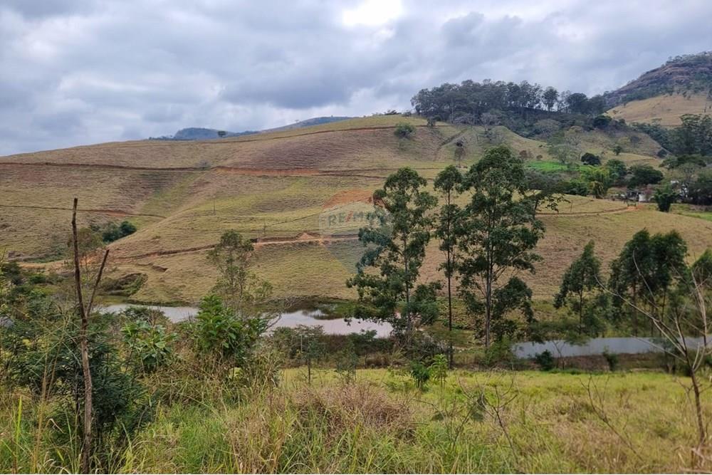 Terreno - Venda - Juiz de Fora , Minas Gerais - IMG-20250729-WA0023.jpg - 860211131-9