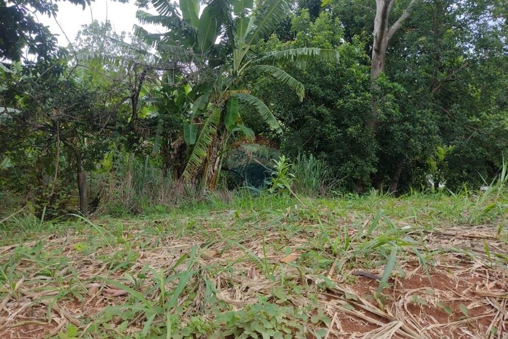 Terreno - Venda - Carangola , Minas Gerais - 1000099425.jpg - 860501015-91