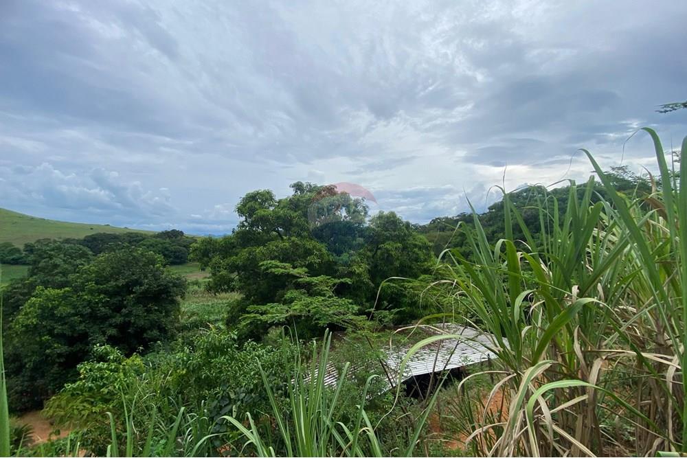 Chácara / Sítio / Fazenda - Venda - Muriaé , Minas Gerais - WhatsApp Image 2025-03-24 at 16.21.11.jpeg - 860371002-116