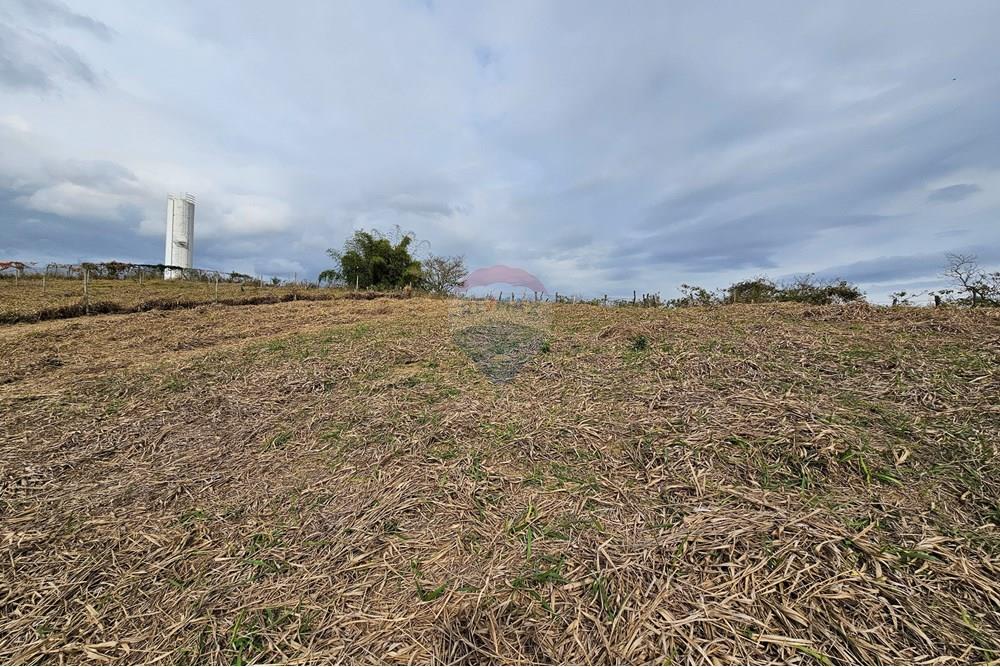 Residential - Maa - Muriaé , Minas Gerais - BR - 20250815_085255.jpg - 860371002-183