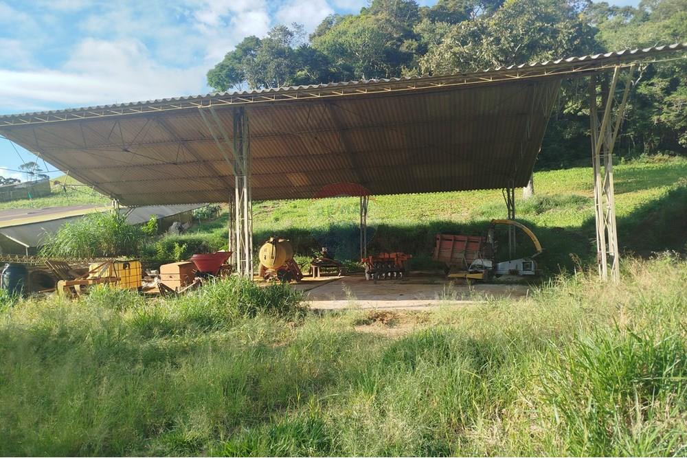 Fazenda - Venda - Barbacena , Minas Gerais - IMG_20250421_160051.jpg - 860391012-32
